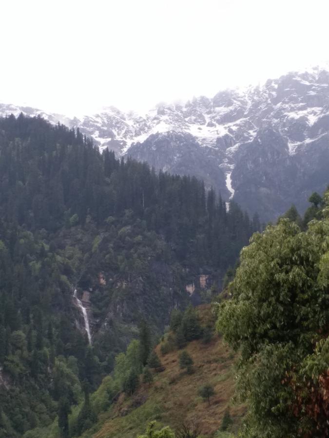 Hotel Seven Hills Manali Extérieur photo